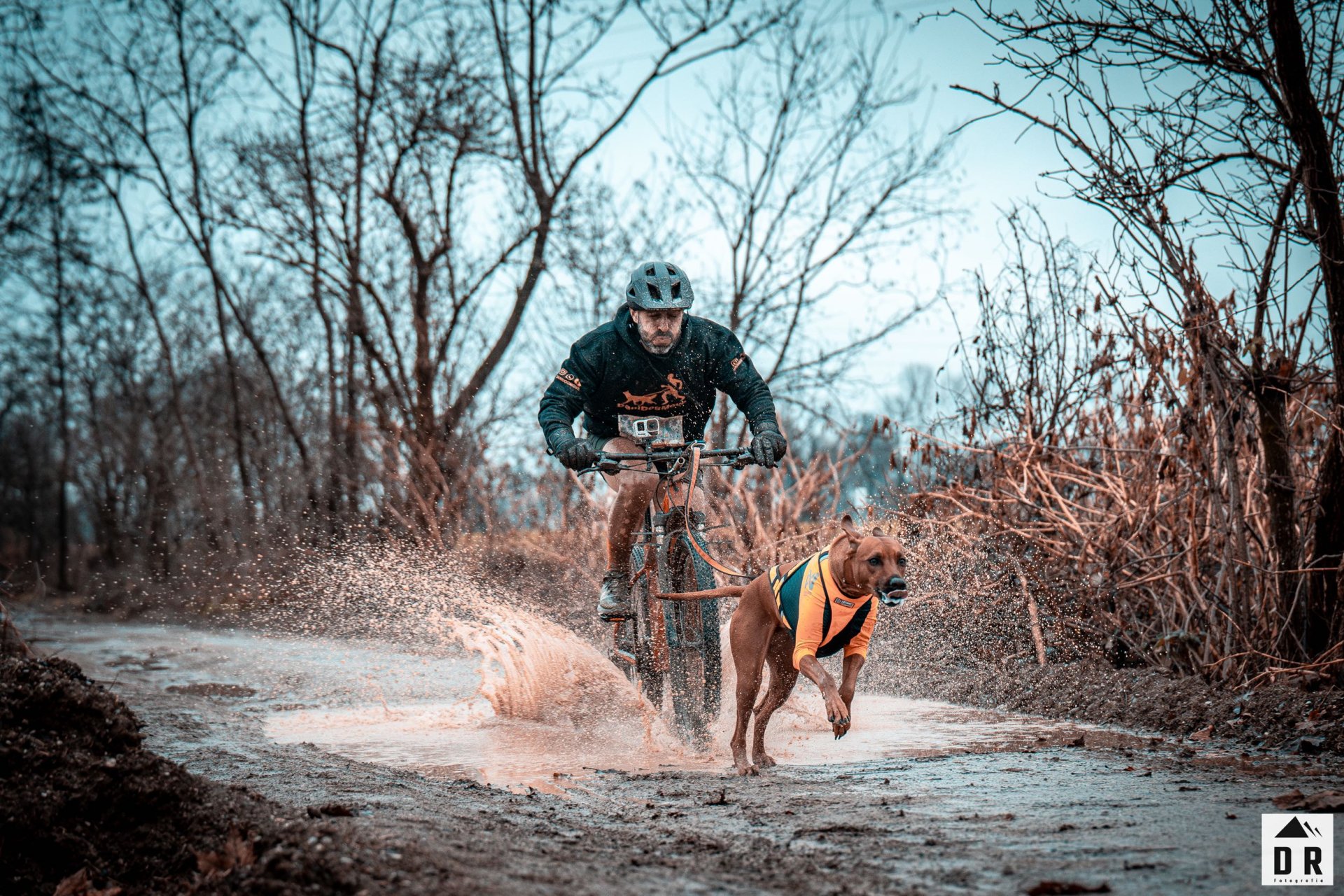 Viga the top race | Malpaga