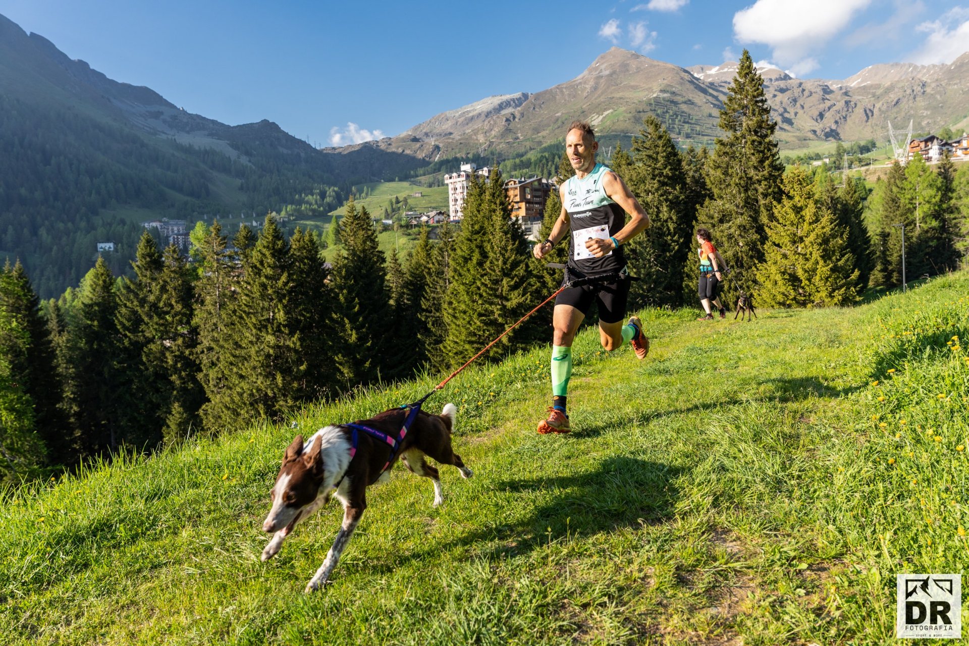 Orobie Dog Trophy | Canicross - ph. Cristian RIVA