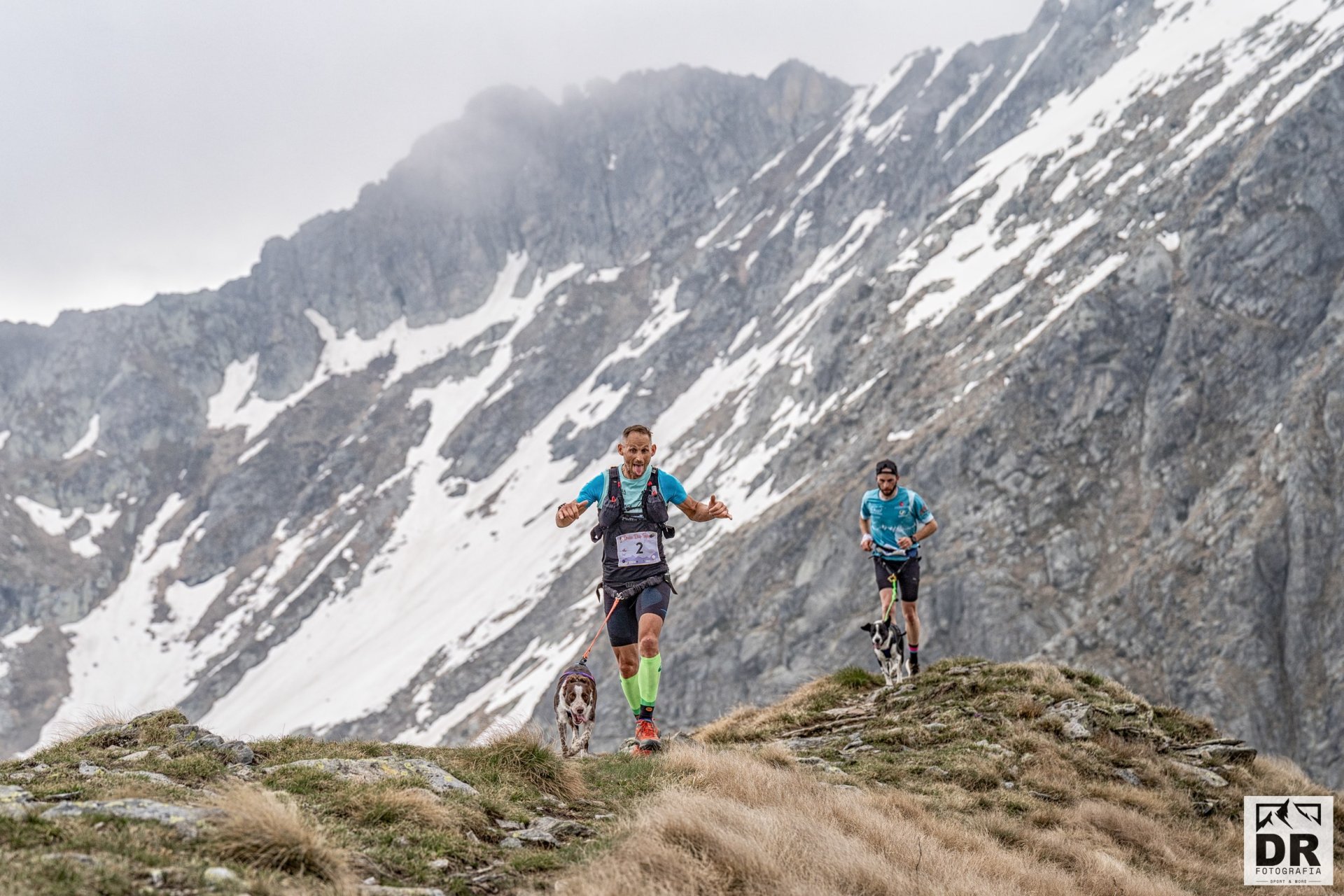 Orobie Dog Trophy | Dog Trail - ph. Cristian RIVA